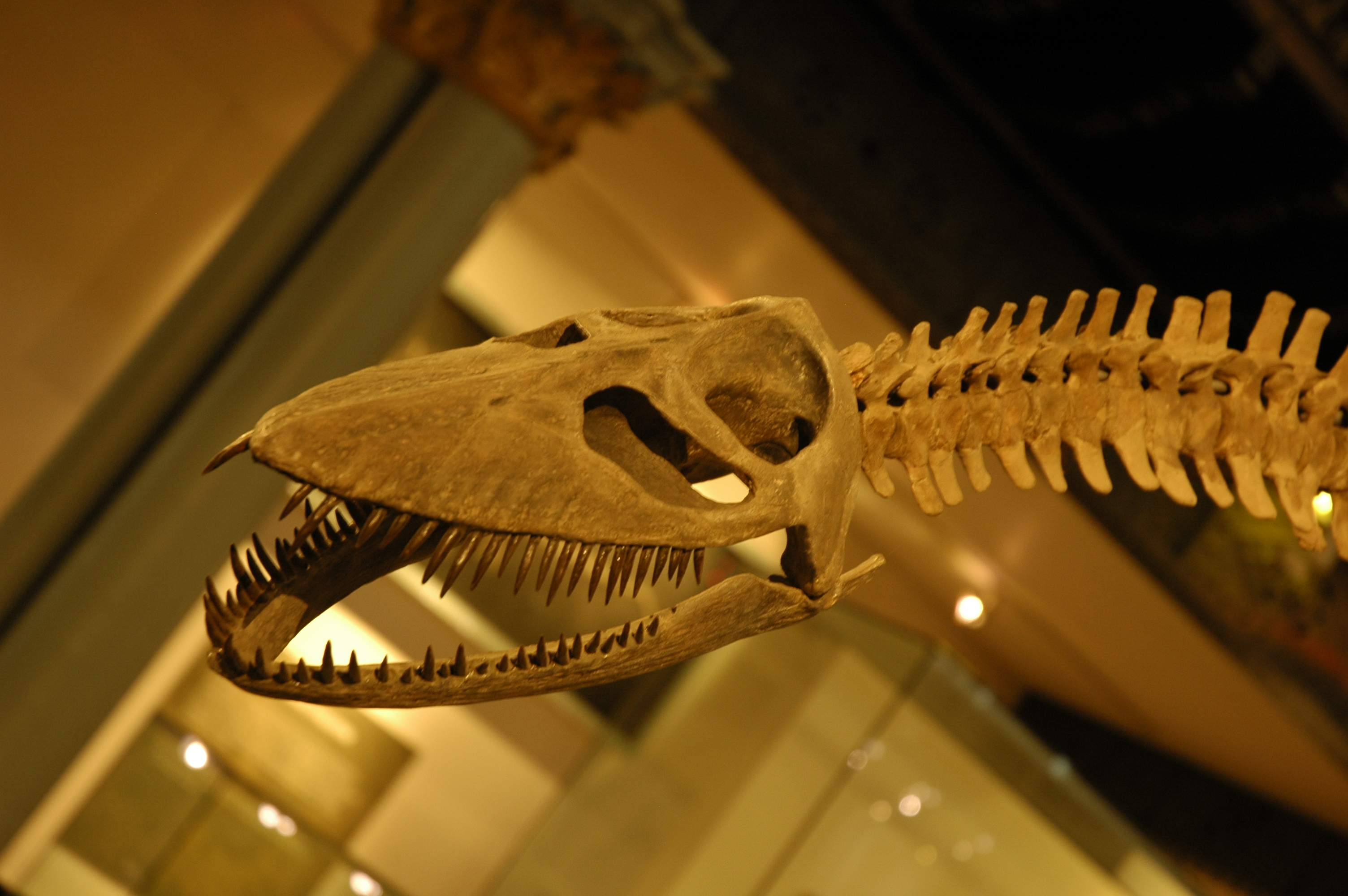 how to mine bitcoin from own pc